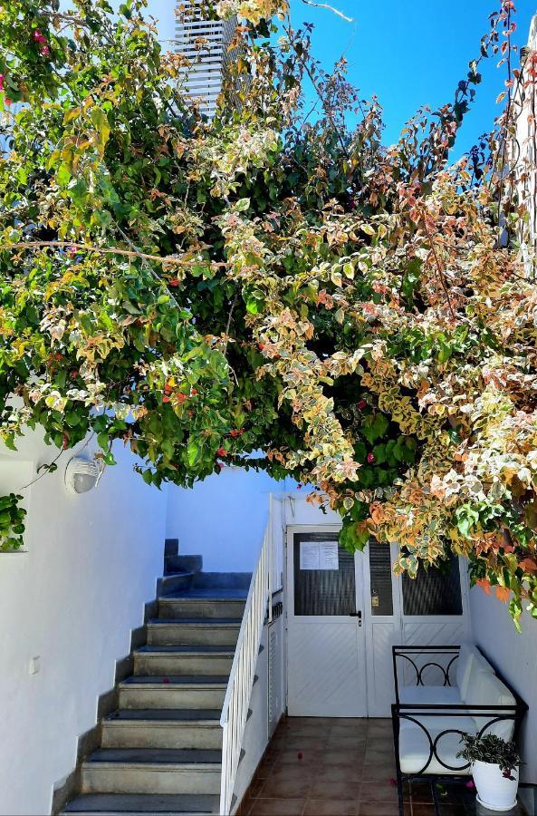 Hostal Costa Ibiza Town Exterior photo